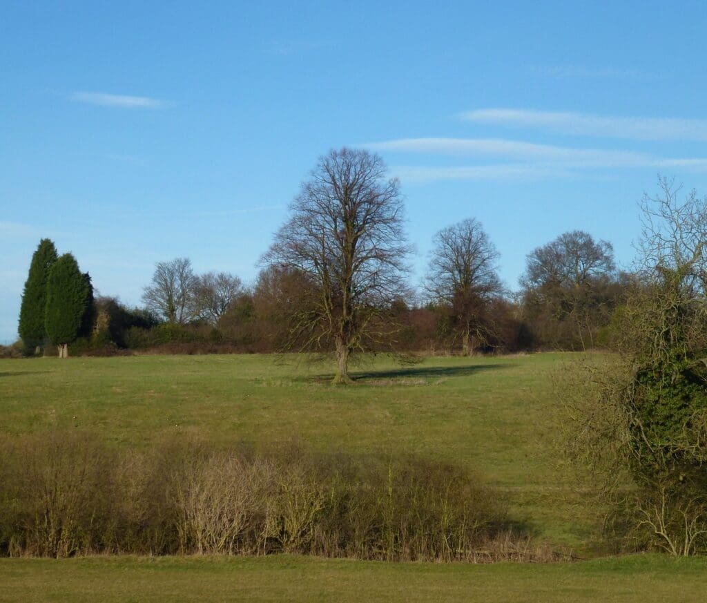 Room with a view: The open countryside that Alan looked across while working in his studio. The two chestnut trees in the centre were incorporated variously into many of his paintings. The trees now have preservation orders. PHOTO: TIM COGHLAN