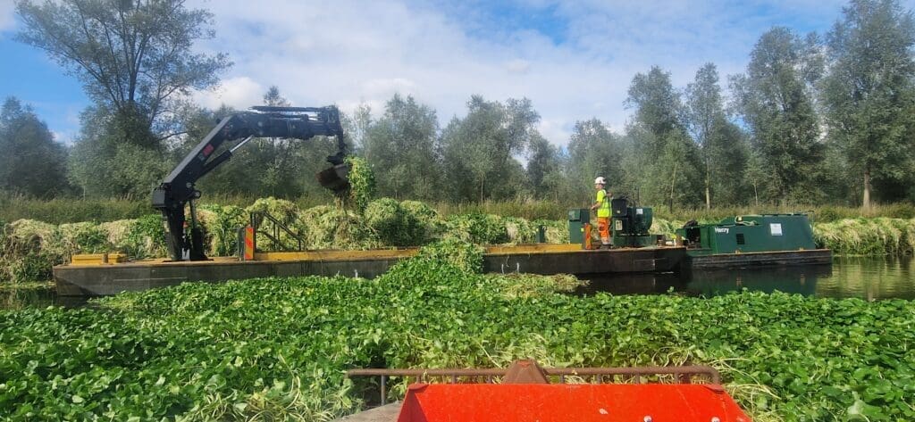 Contractor The Rothen Group removed almost 4000 tonnes of weed from canals and waterways in 2025 alone. 
