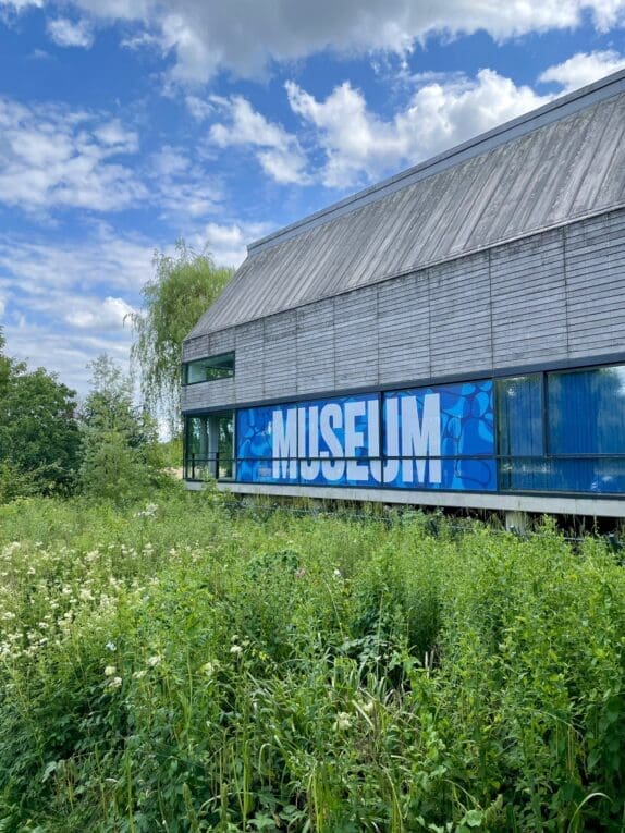 River & Rowing Museum seeks ethical new homes for nationally significant collections