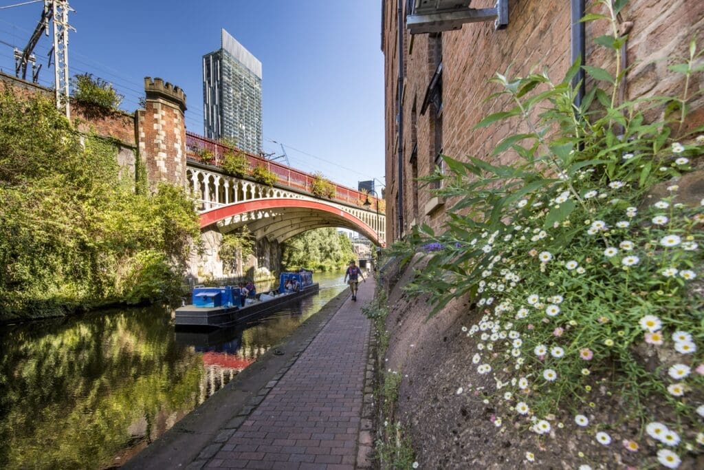 (IMG: Urban nature Manchester Rochdale Canal)  Nature is thriving on the Rochdale Canal in Manchester. PHOTO: CRT