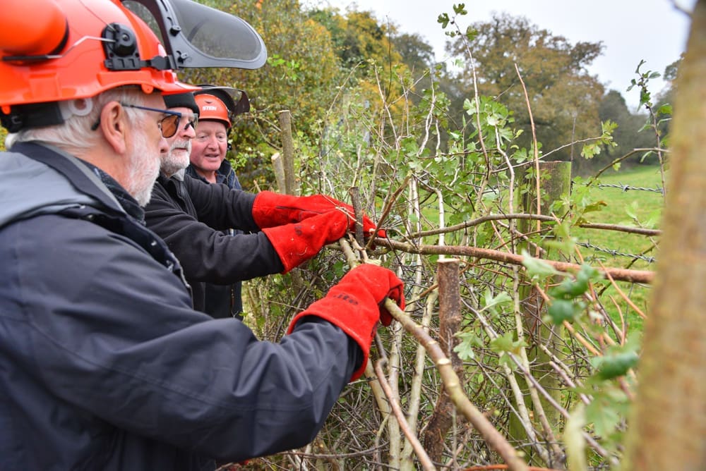 People in Northamptonshire invited to celebrate canal wildlife at free nature event in Stoke Bruerne
