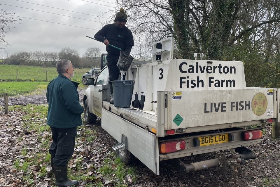 Fish reared at the Environment Agency’s Calverton Fish Farm being delivered