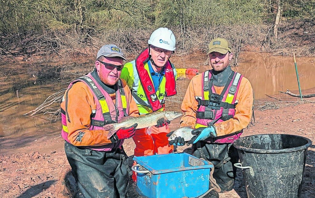 Whitchurch breach John Ellis with MEM Fisheries.jpg)

John Ellis, national fisheries and angling manager at the CRT, with MEM Fisheries during the rescue. CRT