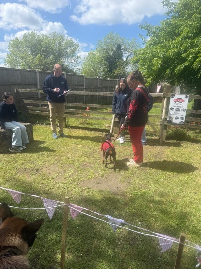 The dog show was a huge success