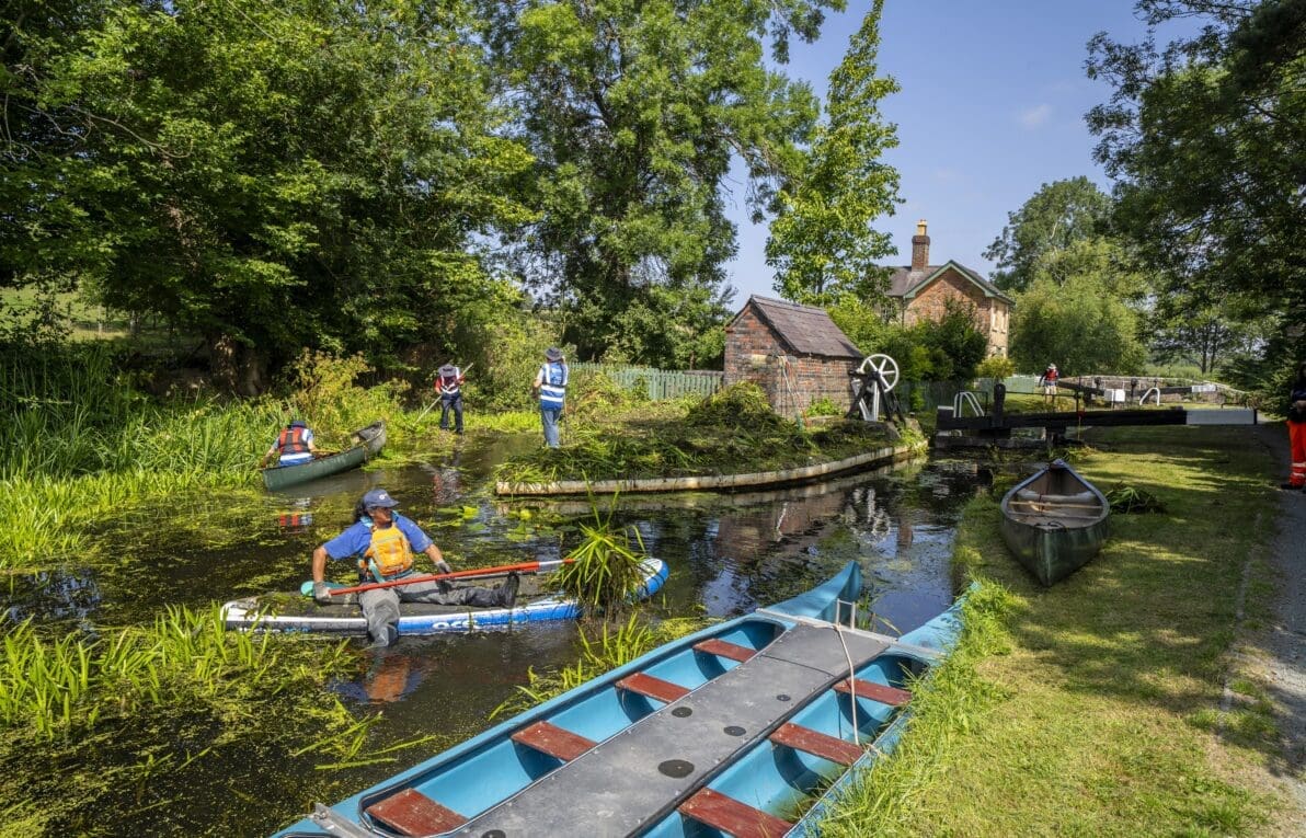 Invasive weeds costing canals more than £1m a year as volunteers step in