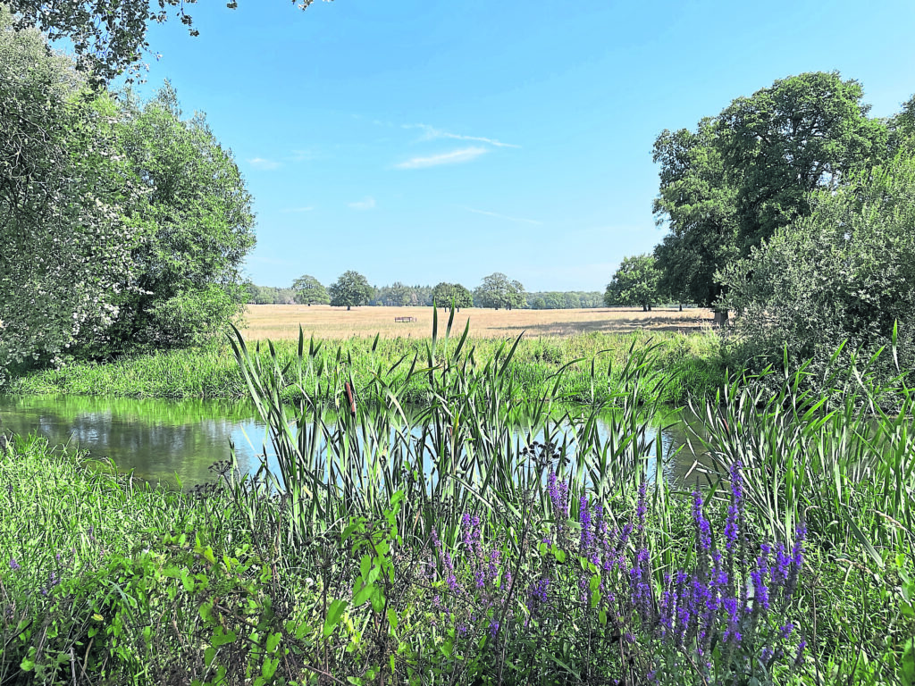 The River Loddon at Stratfield. MR IGNAVY – CC BY-SA 2.0