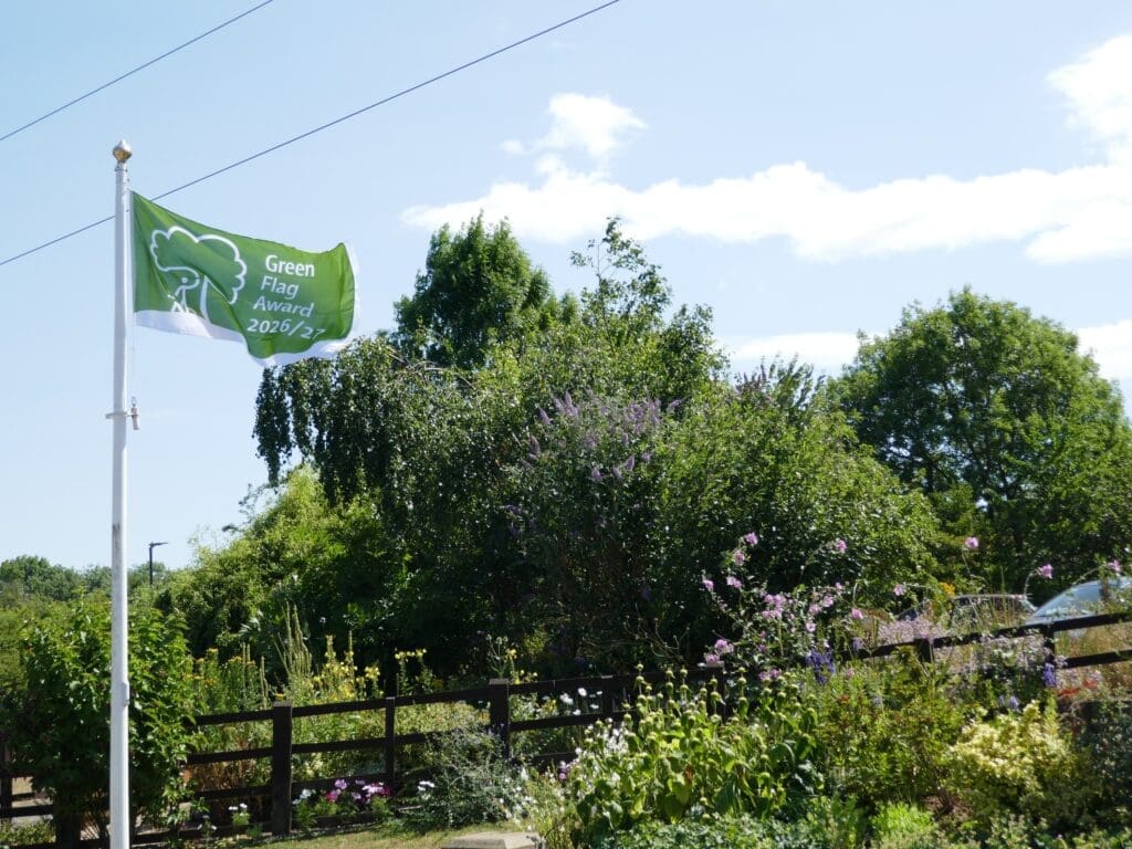 Hollingwood Hub has been awarded the coveted Green Flag Award and is officially recognised as one of the country’s best green spaces.