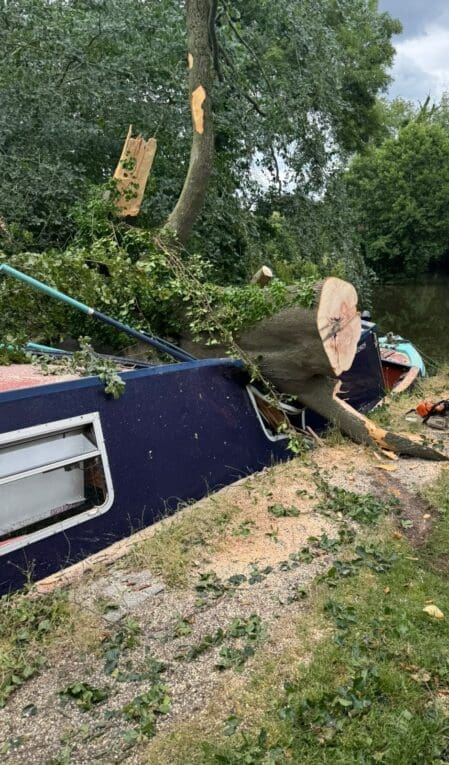 Tree strike at Wolseley Bridge